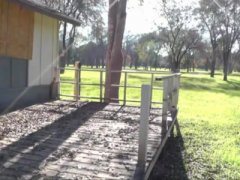 Mergea linistita pe bicicleta pana gaseste un baiat care o pune sa suga pula